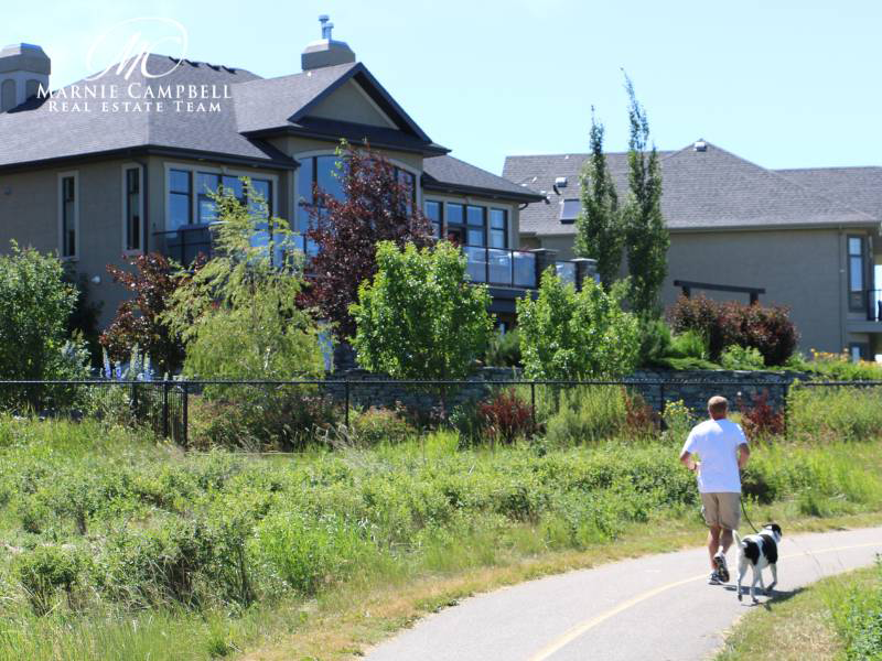 Resident walking dog along a peaceful pathway in Cranston, Calgary, near modern family homes
