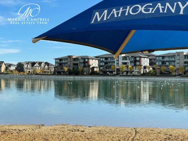 Mahogany beach umbrella beside the lake with homes in the background in Calgary