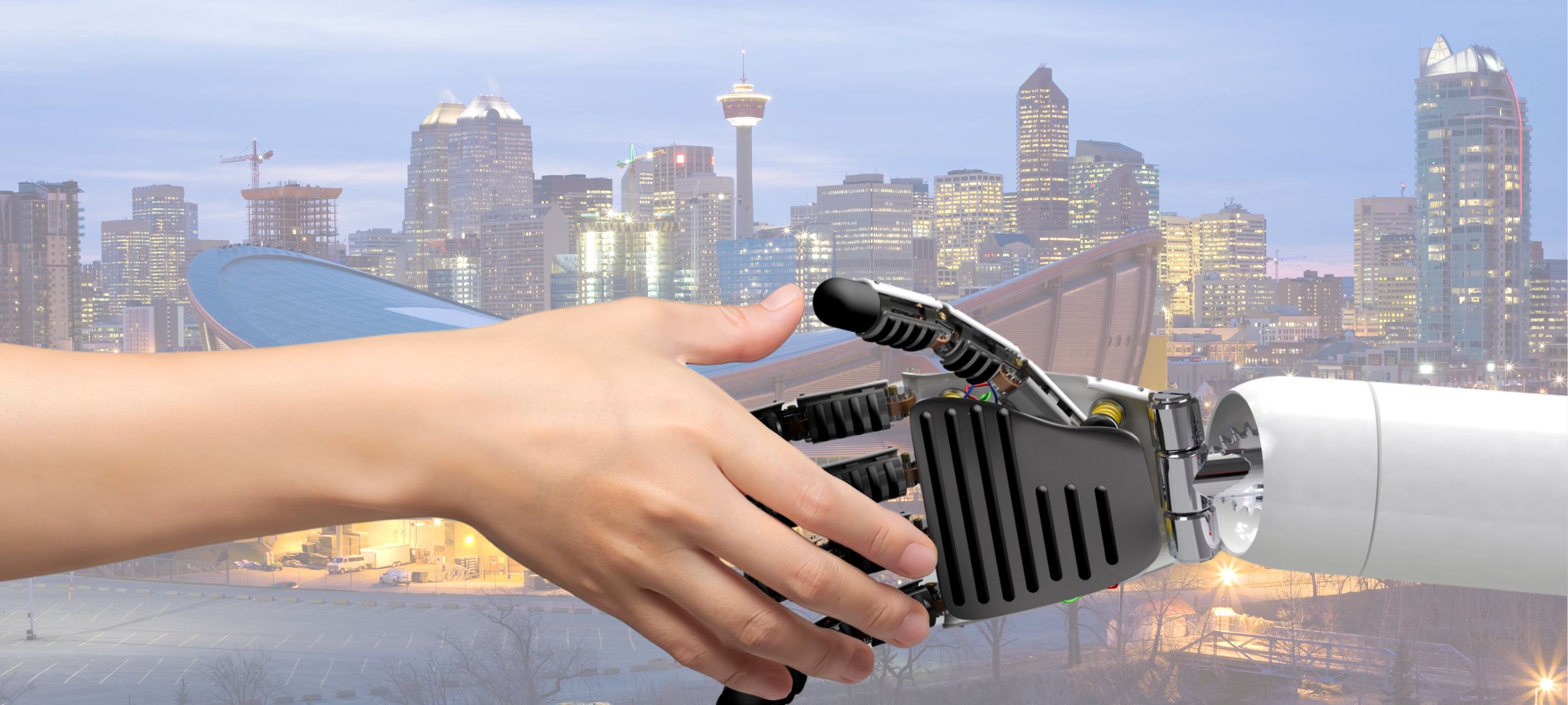 Calgary tech companies. 